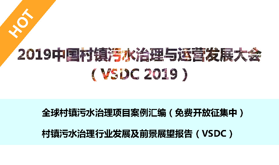 VSDC 2019